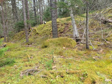 Lot # 72 Oceanville Road Stonington ME 04681