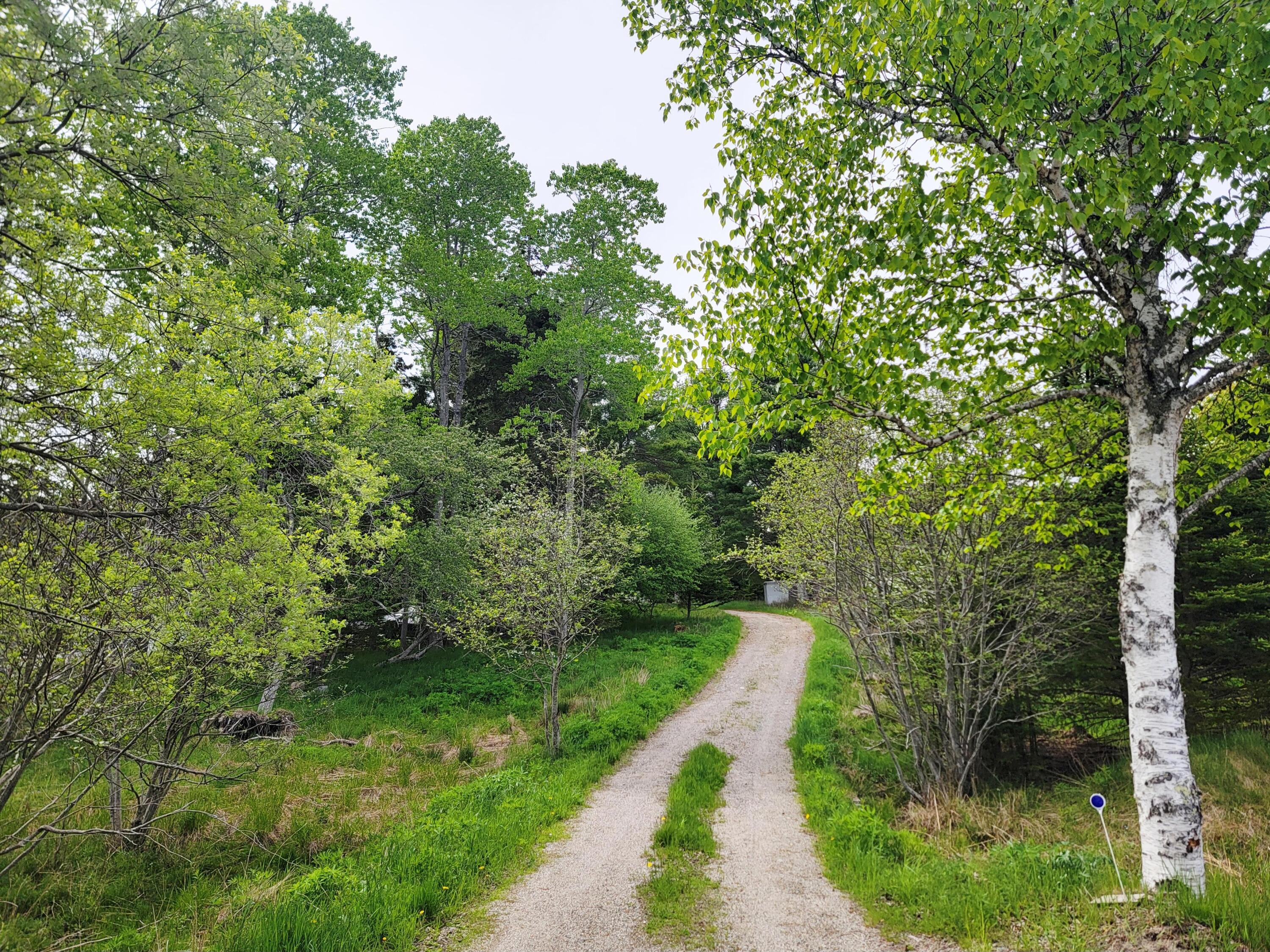 Lot # 72 Oceanville Road Stonington ME 04681