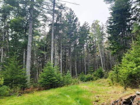 Lot # 72 Oceanville Road Stonington ME 04681