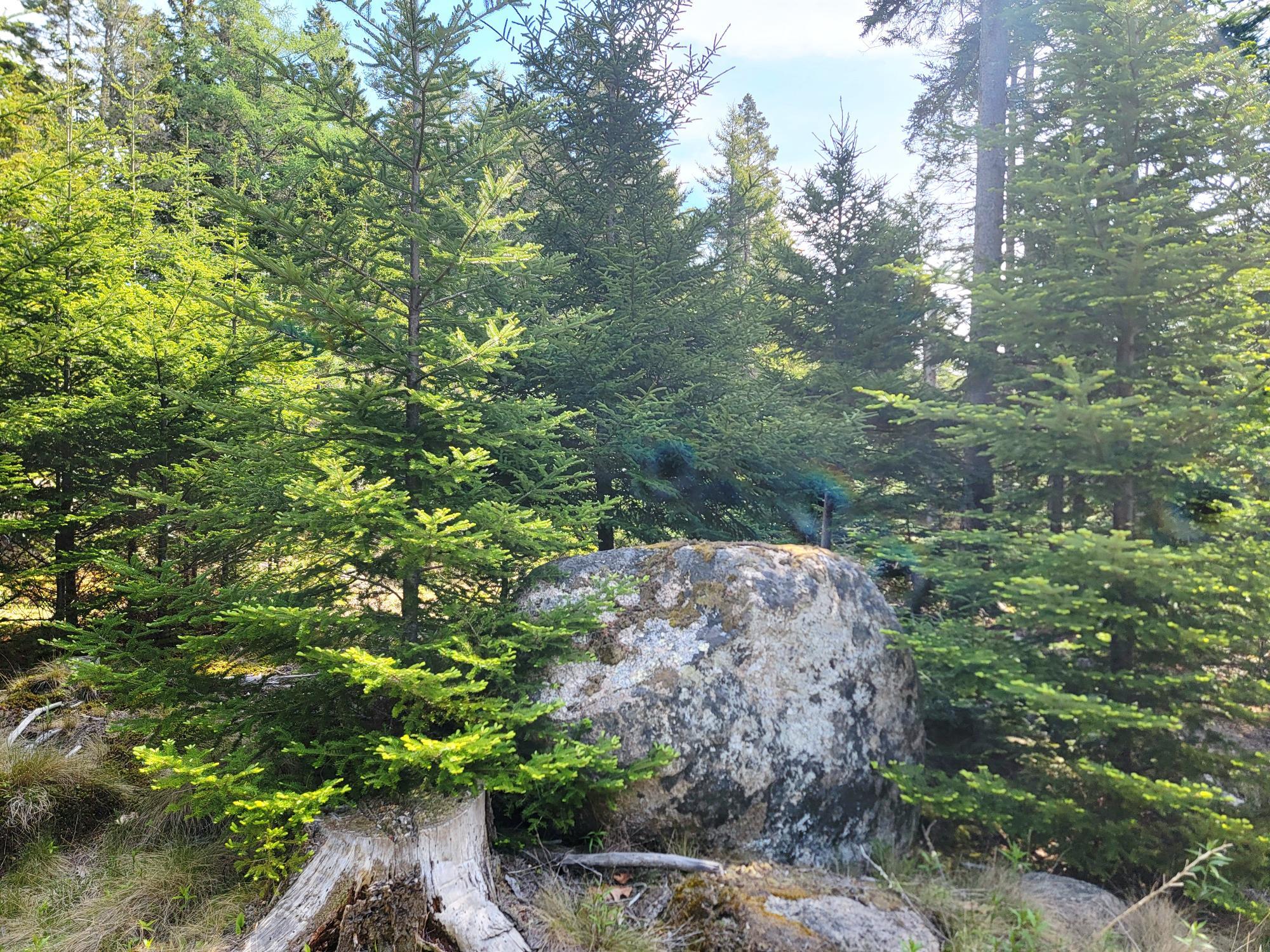 Lot # 72 Oceanville Road Stonington ME 04681