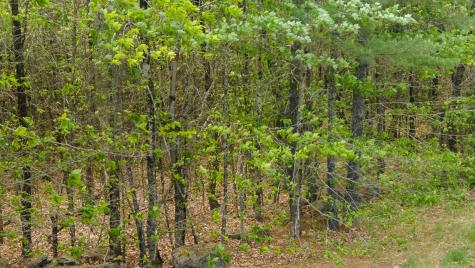Lot 7 Grant Road Orono ME 04473