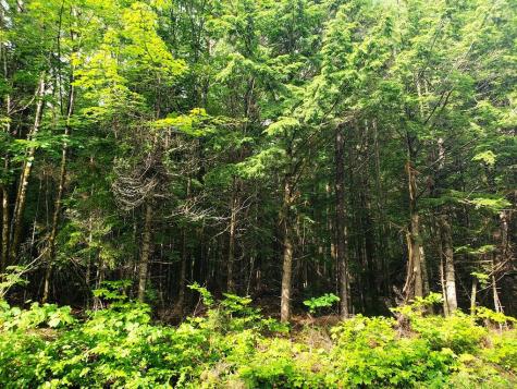 03-7 Van Horne Avenue Williamsburg Twp ME 04414