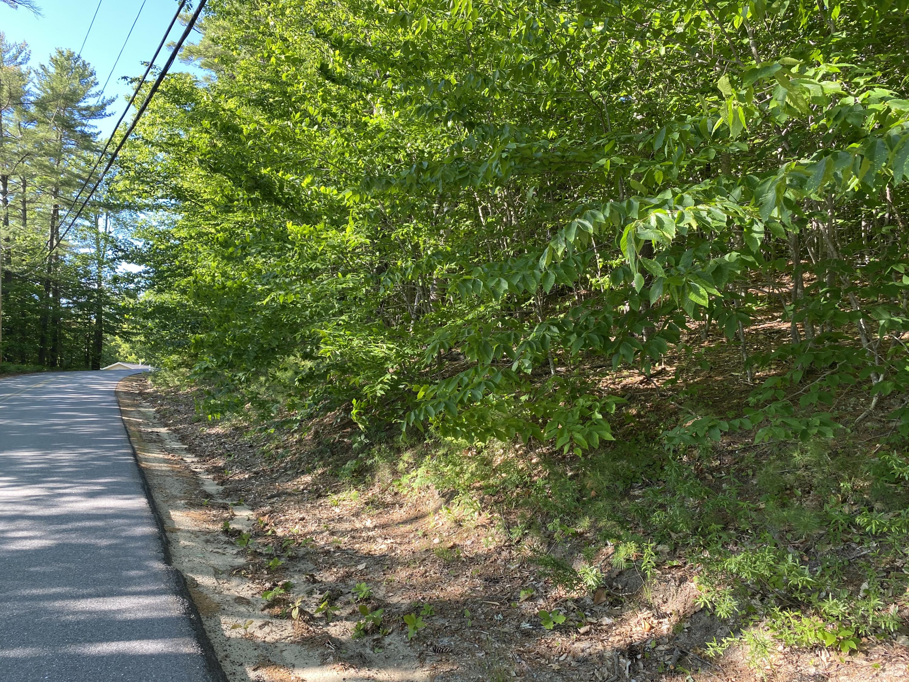 Lot 67&68 Gore Road Naples, ME