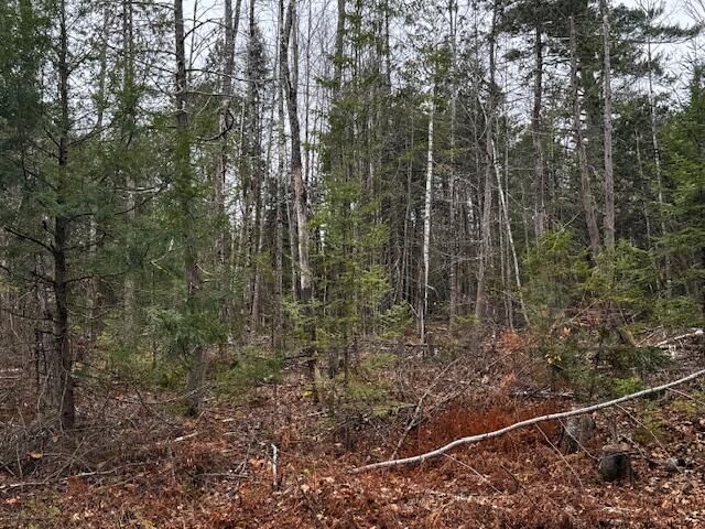 Lot 3 Gee Road Palmyra ME 04965