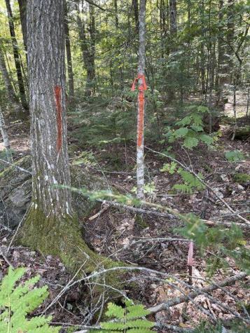 00 Cedar Breeze North Glenburn ME 04401