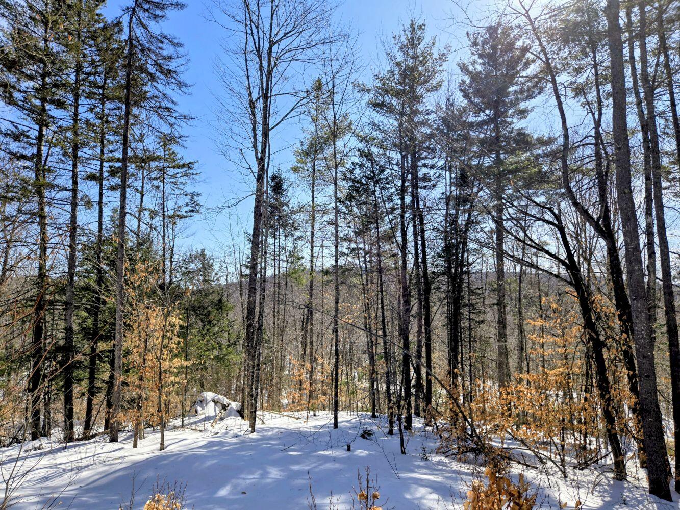 Lot 10c Staples Pond Road Temple ME 04984