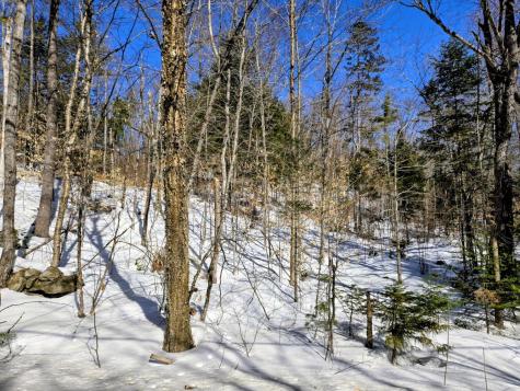 Lot 10c Staples Pond Road Temple ME 04984