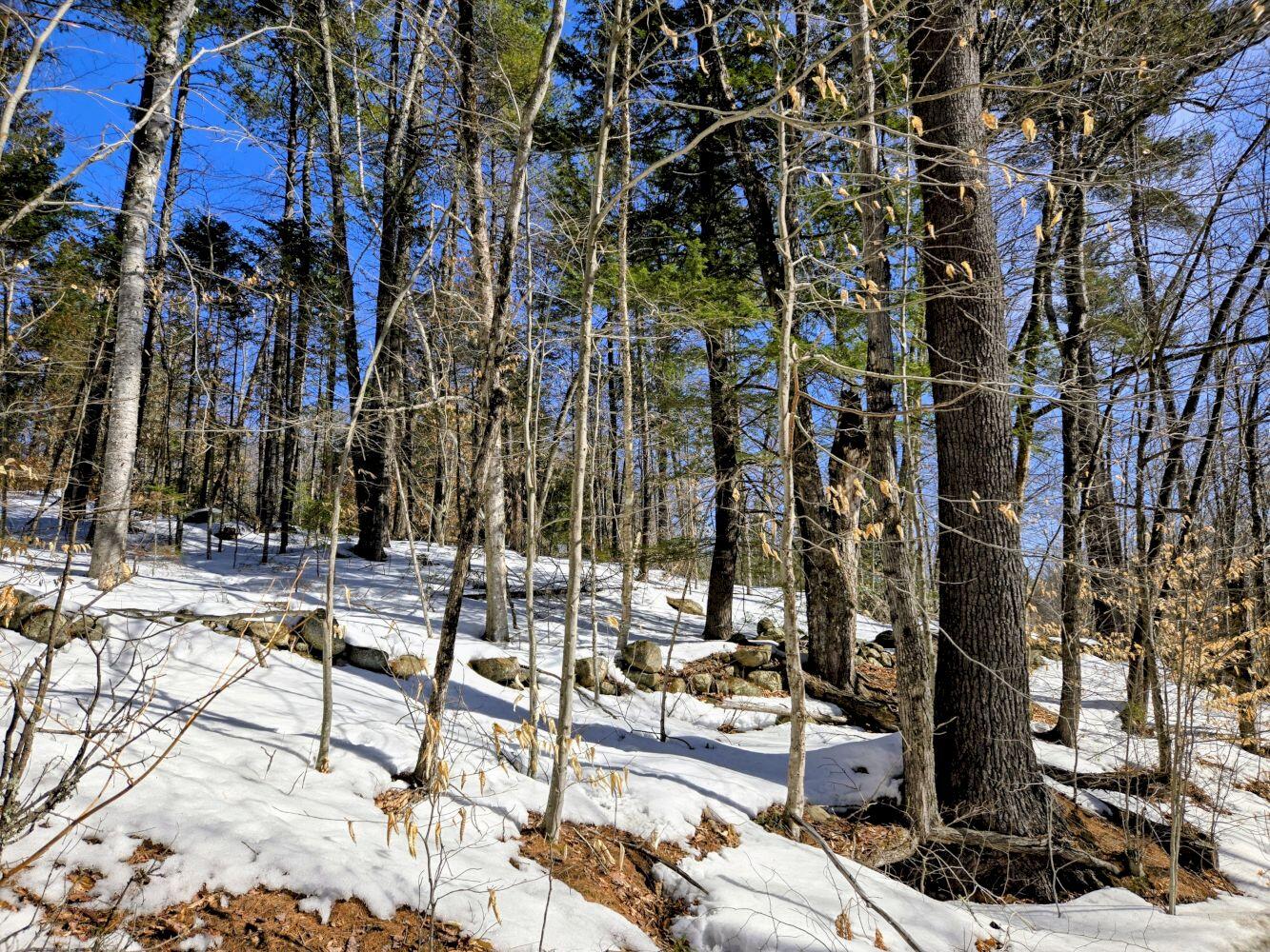 Lot 10c Staples Pond Road Temple ME 04984