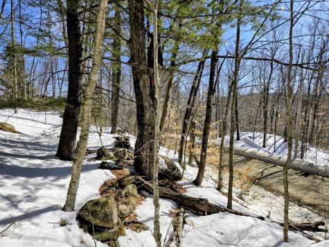 Lot 10c Staples Pond Road Temple ME 04984