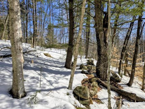 Lot 10c Staples Pond Road Temple ME 04984