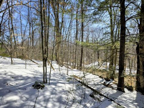 Lot 10c Staples Pond Road Temple ME 04984