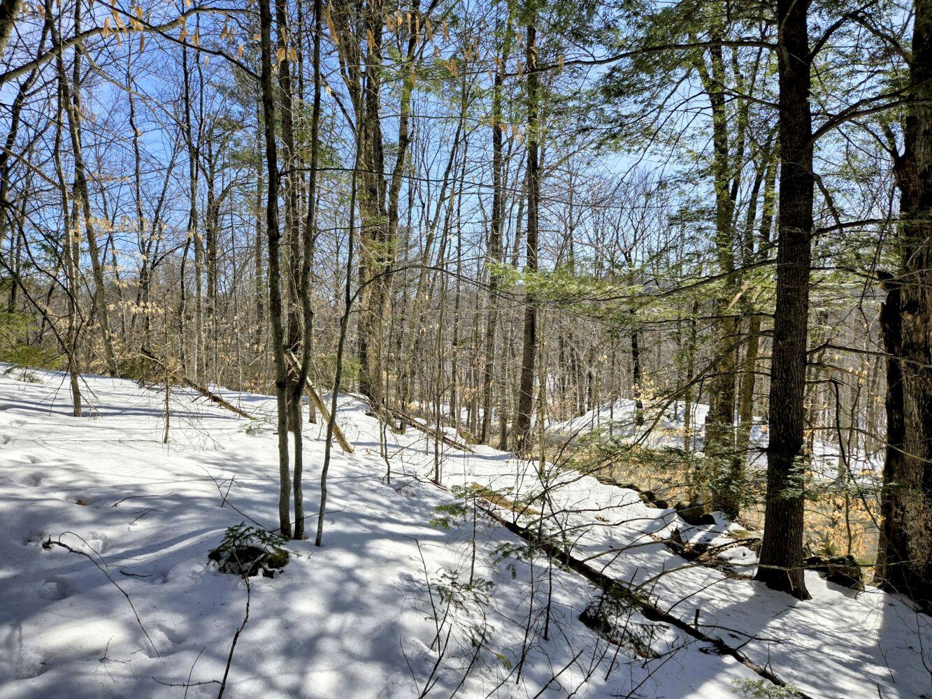 Lot 10c Staples Pond Road Temple ME 04984