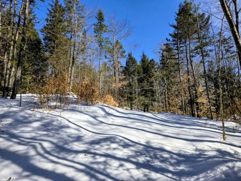 Lot 10c Staples Pond Road Temple ME 04984