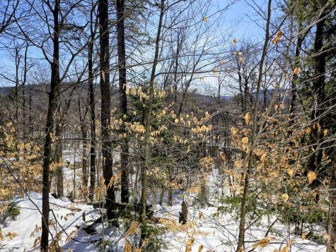 Lot 10c Staples Pond Road Temple ME 04984