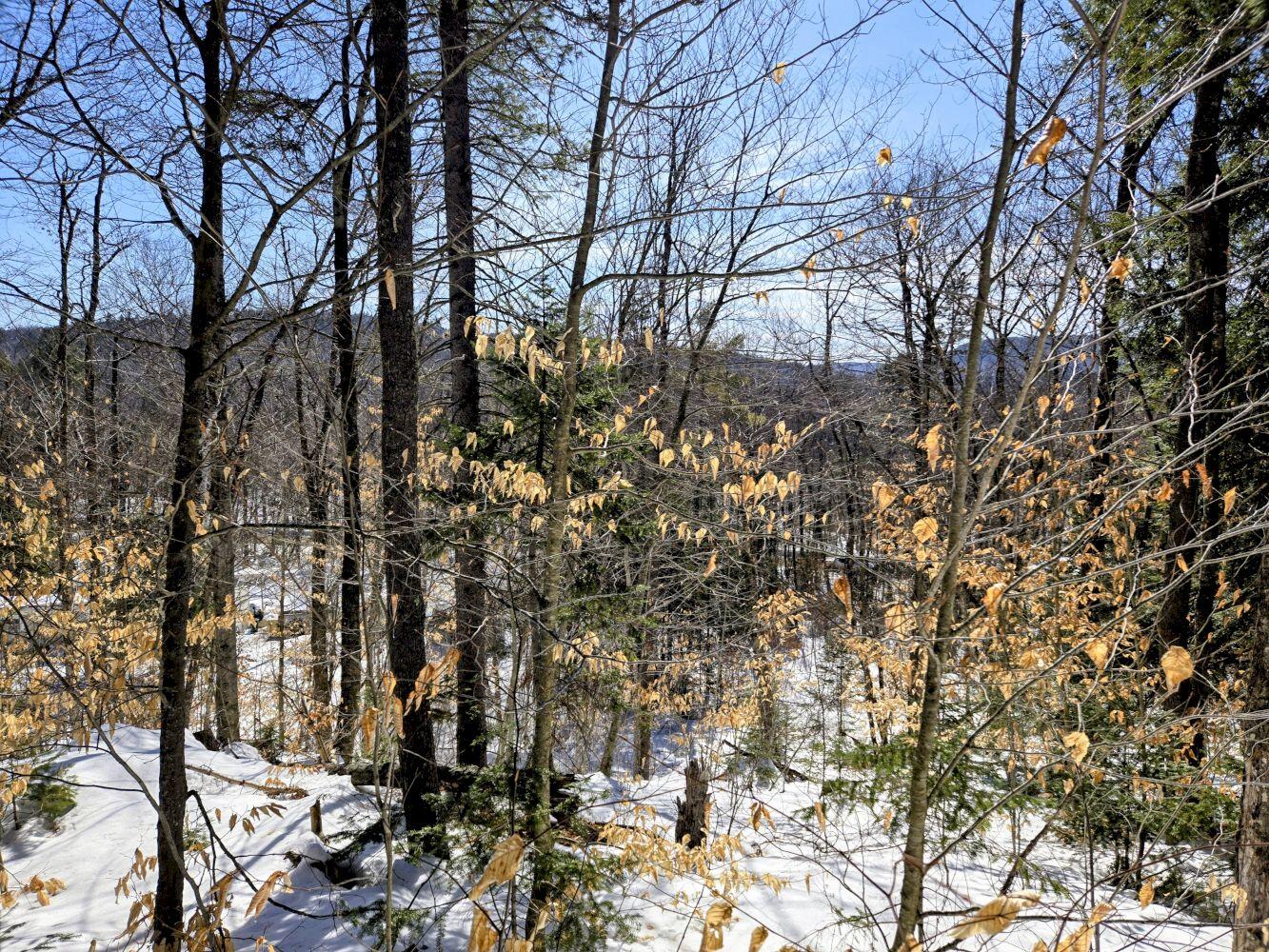 Lot 10c Staples Pond Road Temple ME 04984