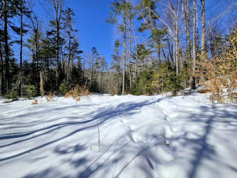 Lot 10c Staples Pond Road Temple ME 04984