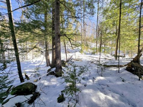 Lot 10c Staples Pond Road Temple ME 04984