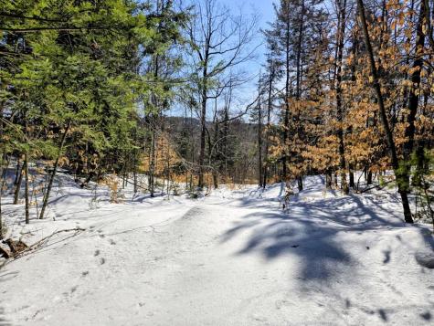 Lot 10c Staples Pond Road Temple ME 04984