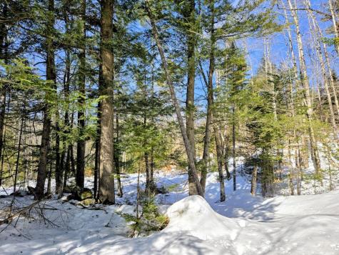 Lot 10c Staples Pond Road Temple ME 04984