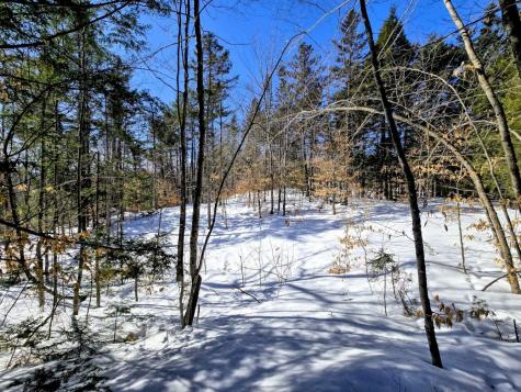 Lot 10c Staples Pond Road Temple ME 04984