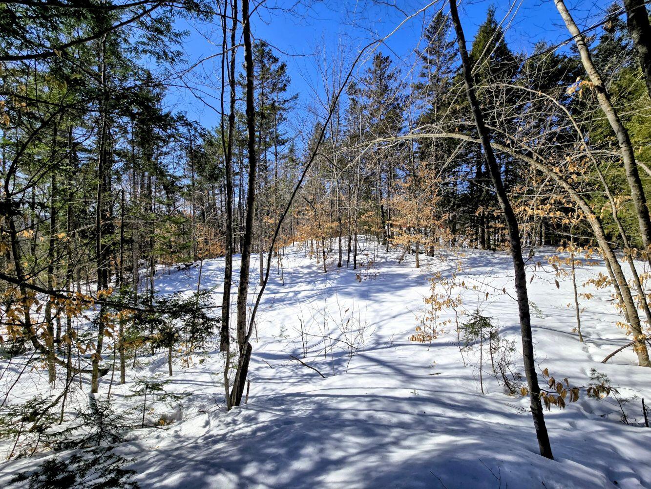 Lot 10c Staples Pond Road Temple ME 04984