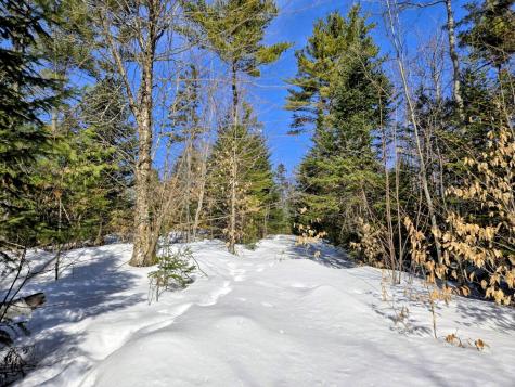 Lot 10c Staples Pond Road Temple ME 04984