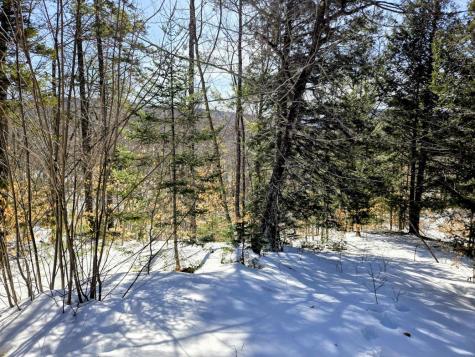 Lot 10c Staples Pond Road Temple ME 04984