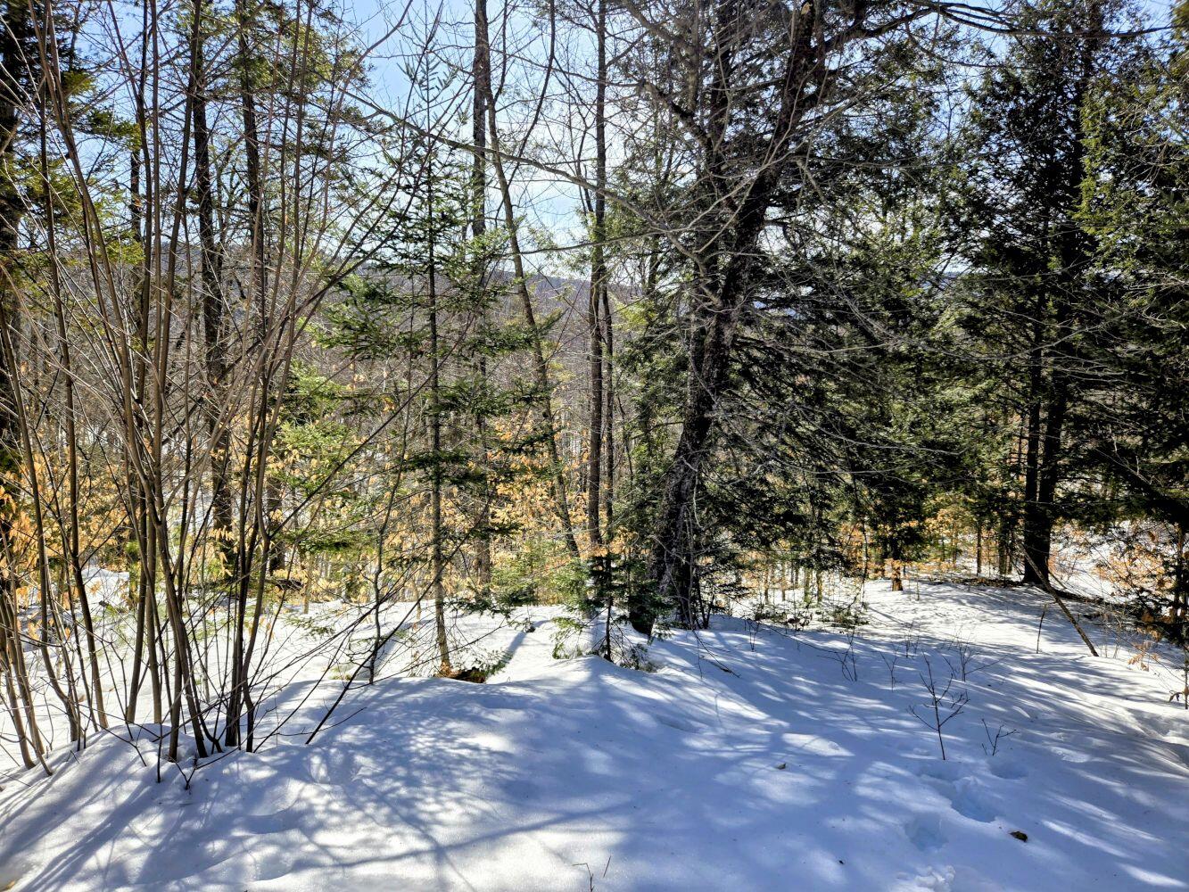 Lot 10c Staples Pond Road Temple ME 04984