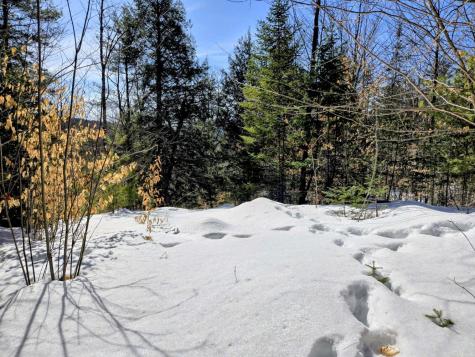 Lot 10c Staples Pond Road Temple ME 04984