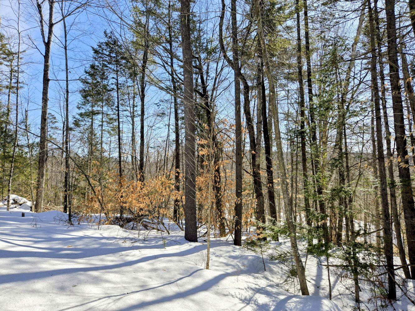 Lot 10c Staples Pond Road Temple ME 04984