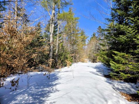 Lot 10c Staples Pond Road Temple ME 04984