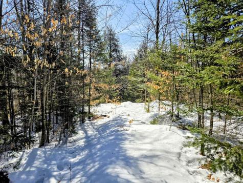 Lot 10c Staples Pond Road Temple ME 04984