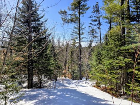 Lot 10c Staples Pond Road Temple ME 04984