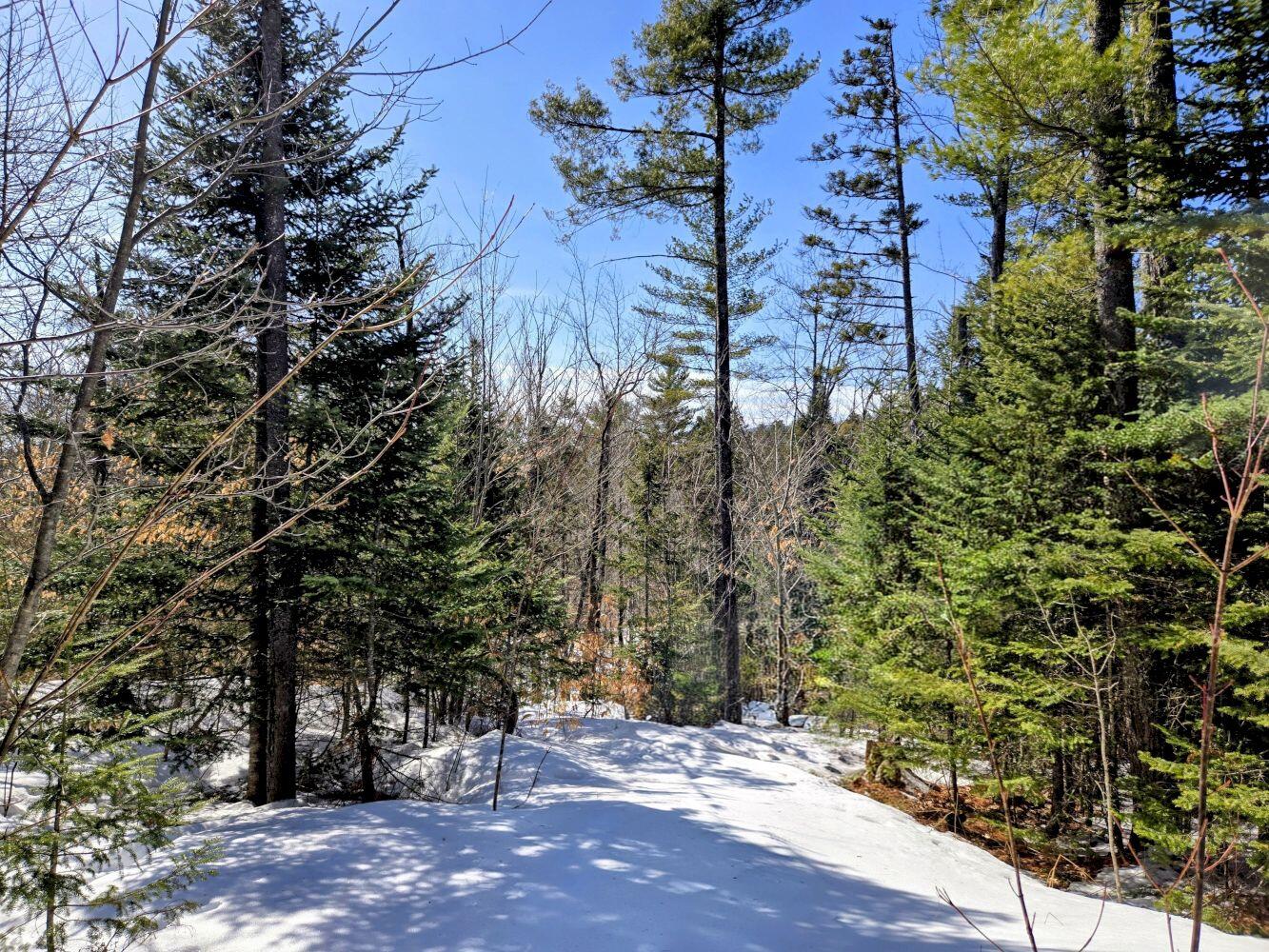 Lot 10c Staples Pond Road Temple ME 04984