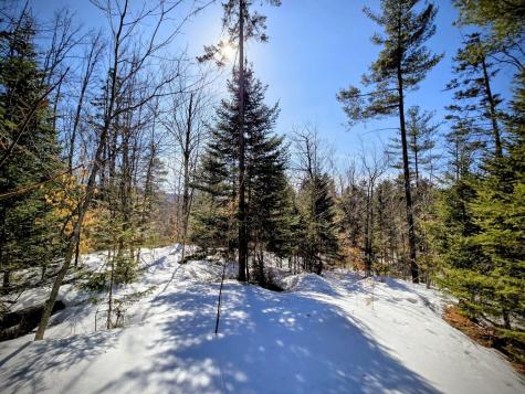 Lot 10c Staples Pond Road Temple ME 04984