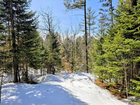 Lot 10c Staples Pond Road Temple ME 04984