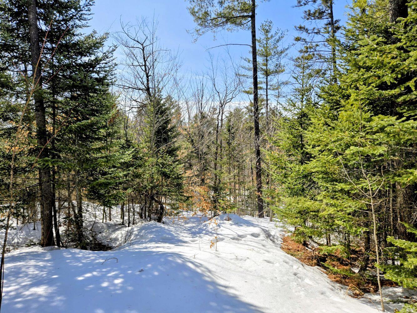 Lot 10c Staples Pond Road Temple ME 04984