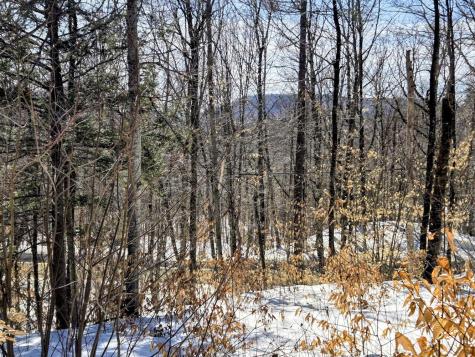 Lot 10c Staples Pond Road Temple ME 04984