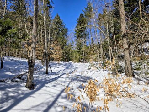 Lot 10c Staples Pond Road Temple ME 04984