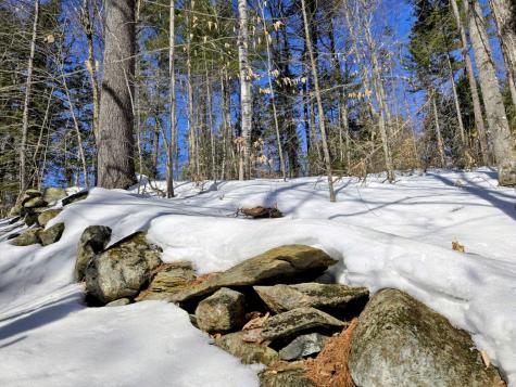 Lot 10c Staples Pond Road Temple ME 04984