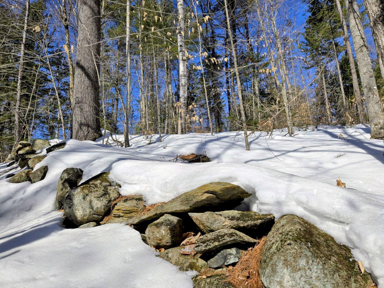 Lot 10c Staples Pond Road Temple ME 04984