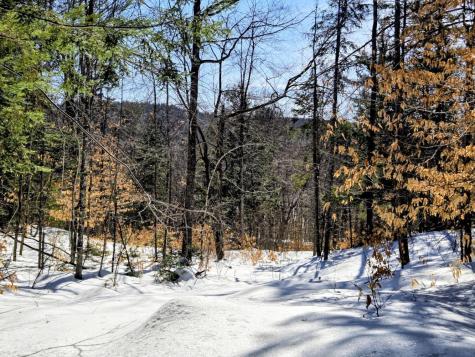 Lot 10c Staples Pond Road Temple ME 04984