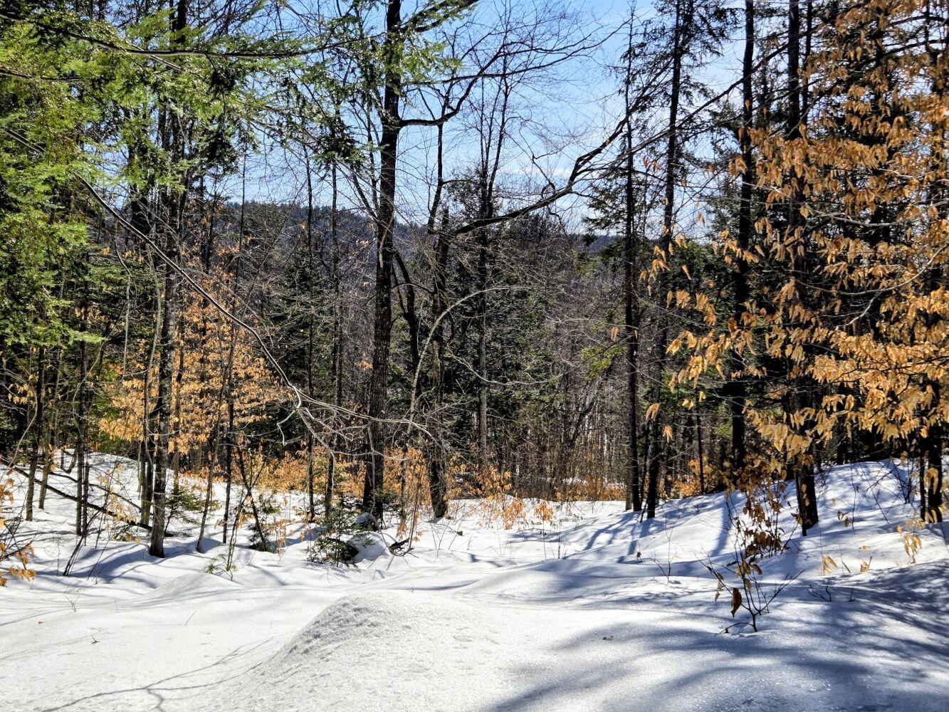 Lot 10c Staples Pond Road Temple ME 04984