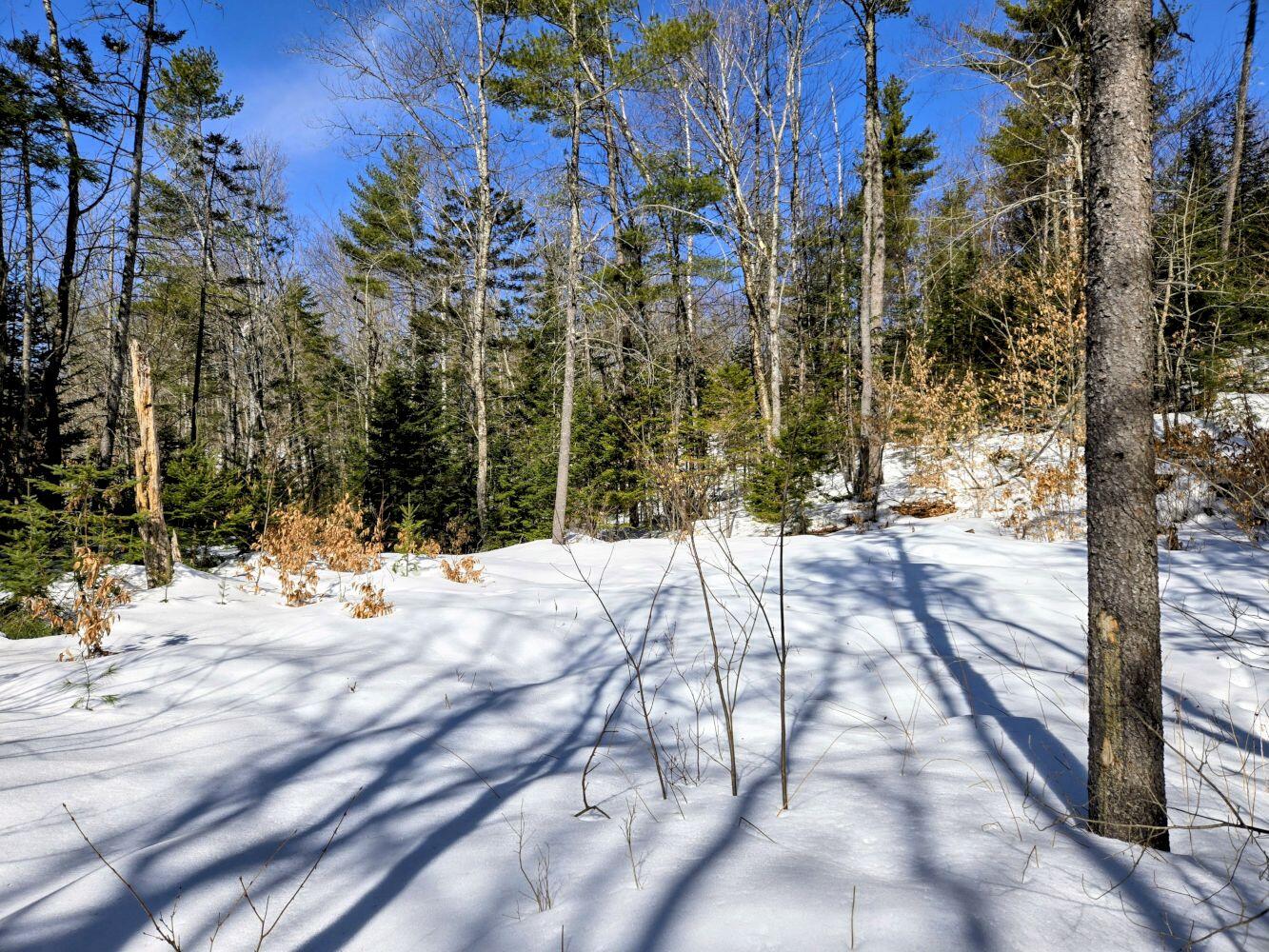 Lot 10c Staples Pond Road Temple ME 04984