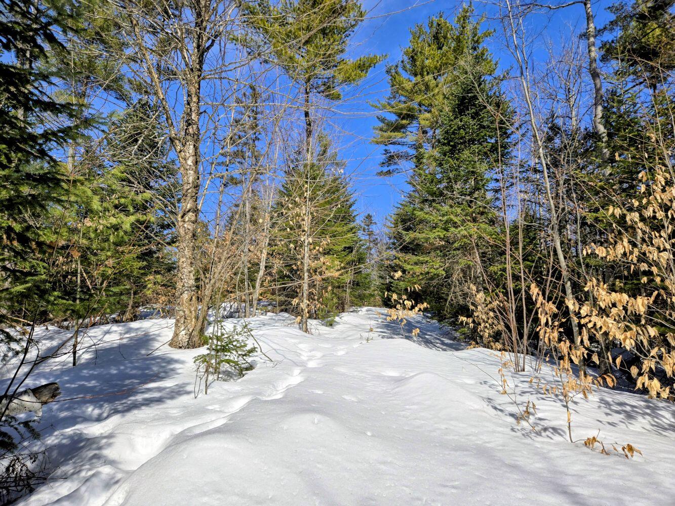 Lot 10c Staples Pond Road Temple ME 04984