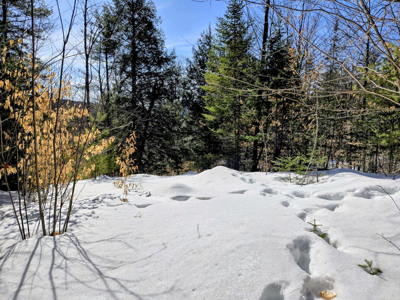Lot 10c Staples Pond Road Temple ME 04984