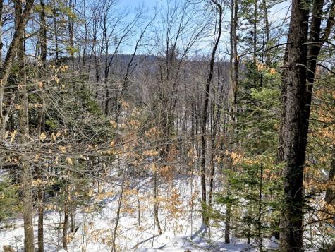 Lot 10c Staples Pond Road Temple ME 04984