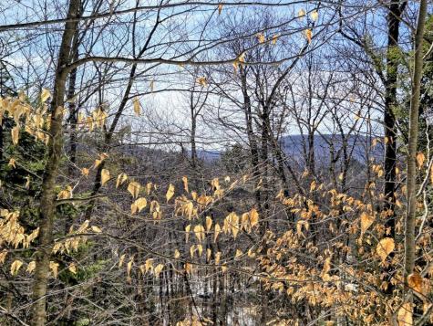 Lot 10c Staples Pond Road Temple ME 04984