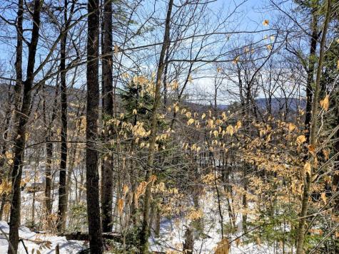 Lot 10c Staples Pond Road Temple ME 04984