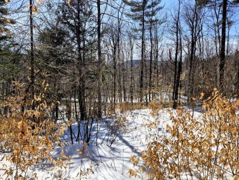 Lot 10c Staples Pond Road Temple ME 04984